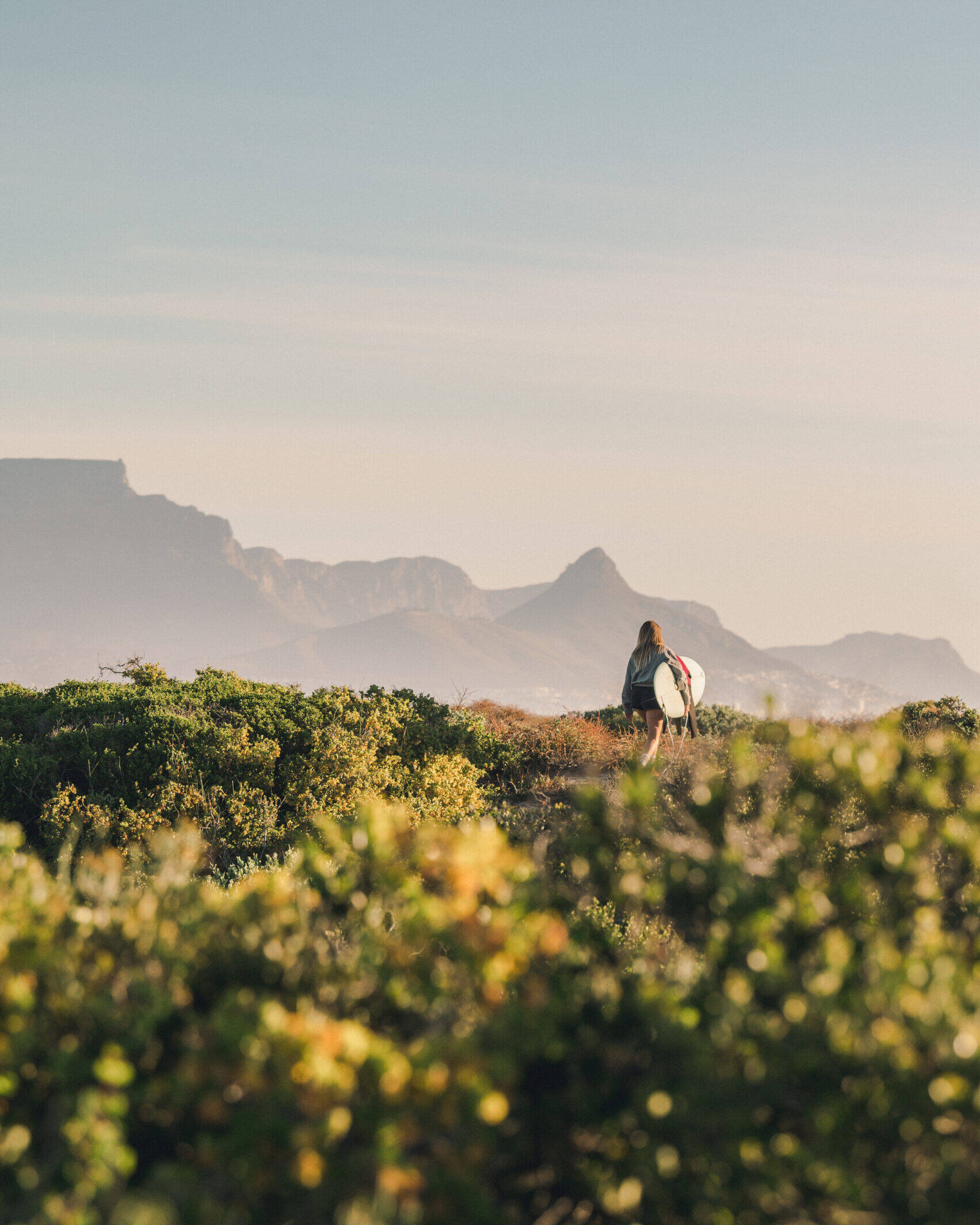 A surfer carrying a surfboard walking through lush greenery towards Big Bay beach, with Table Mountain visible in the background under a clear sky.