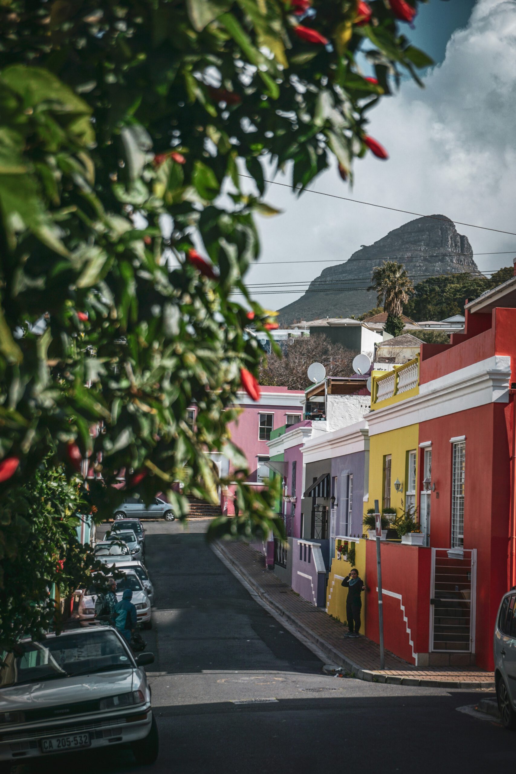 Bo-Kaap and Lions Head